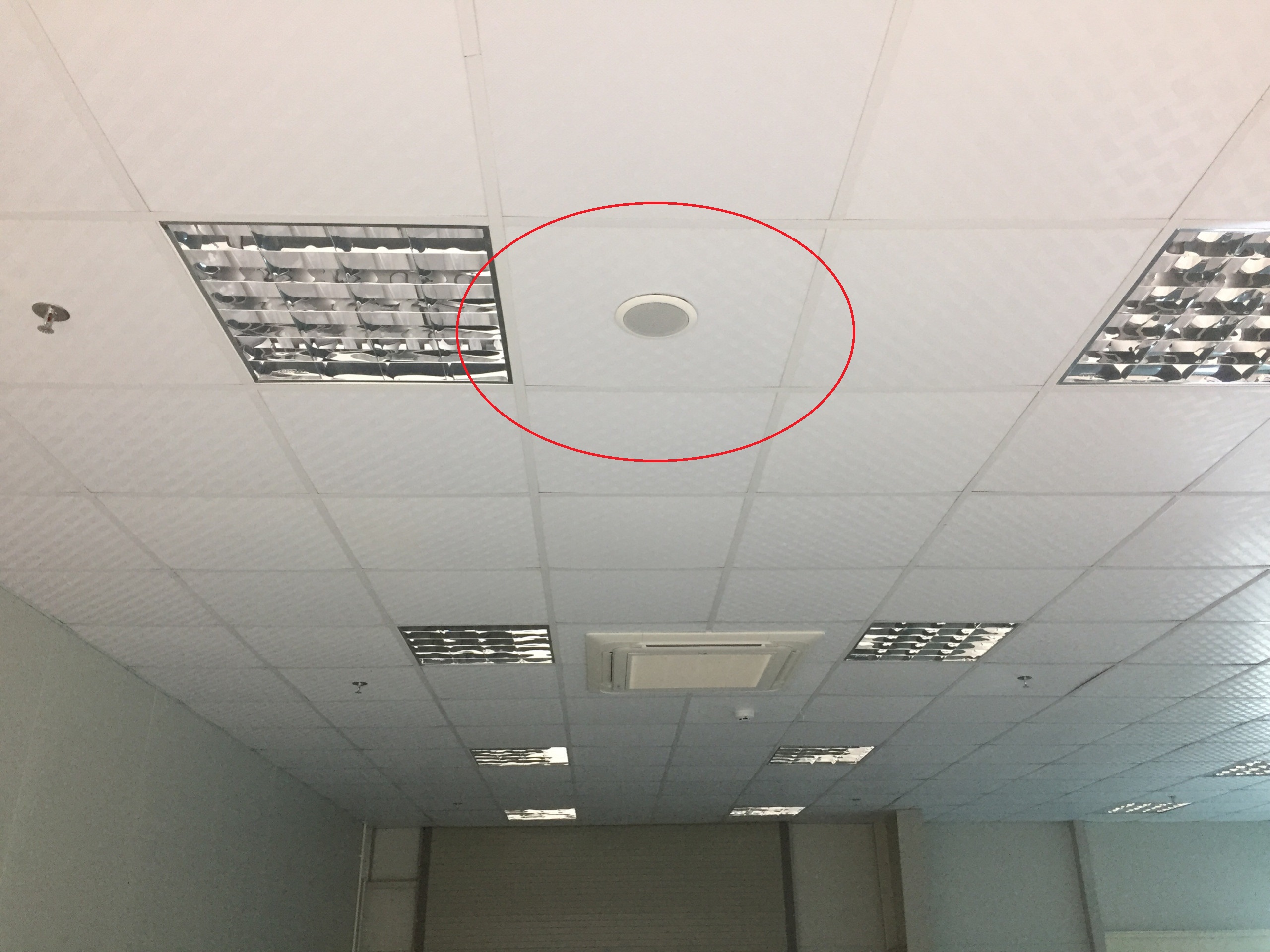 e1b2eea71b06fa58a317_1